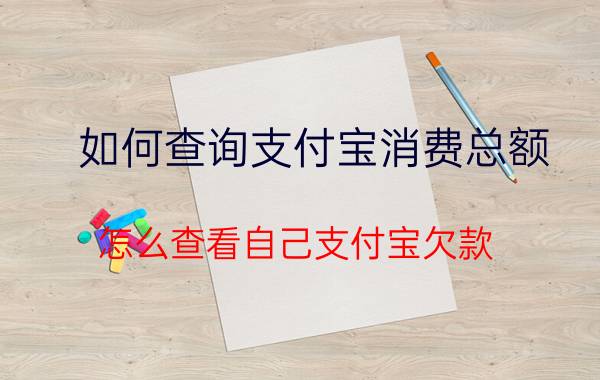 如何查询支付宝消费总额 怎么查看自己支付宝欠款？